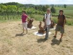 20130623_Eroeffnung_Aussichtsturm_RoseldorfDSCN7121.JPG