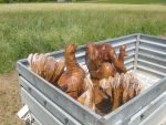 20130623_Eroeffnung_Aussichtsturm_RoseldorfDSCN7082.JPG