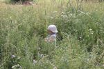 20130623_Eroeffnung_Aussichtsturm_RoseldorfIMG_5792.JPG
