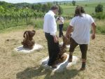 20130623_Eroeffnung_Aussichtsturm_RoseldorfDSCN7208.JPG