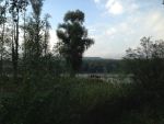 20130925_26_LIFE_PlattformIMG_2378.JPG