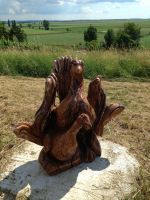 20130623_Eroeffnung_Aussichtsturm_RoseldorfIMG_1984.JPG
