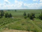 20130623_Eroeffnung_Aussichtsturm_RoseldorfDSCN7090.JPG