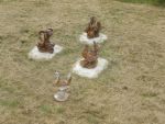 20130623_Eroeffnung_Aussichtsturm_RoseldorfDSCN7094.JPG