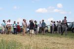 20130623_Eroeffnung_Aussichtsturm_RoseldorfIMG_5767.JPG