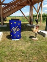 20130623_Eroeffnung_Aussichtsturm_RoseldorfIMG_1895.JPG