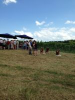 20130623_Eroeffnung_Aussichtsturm_RoseldorfIMG_1907.JPG