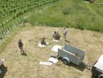 20130623_Eroeffnung_Aussichtsturm_RoseldorfDSCN7091.JPG