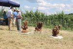 20130623_Eroeffnung_Aussichtsturm_RoseldorfIMG_5823.JPG