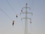 DEUGAN_MontageVogelwarnfahnen_Fa_VLB_14_20120620.jpg