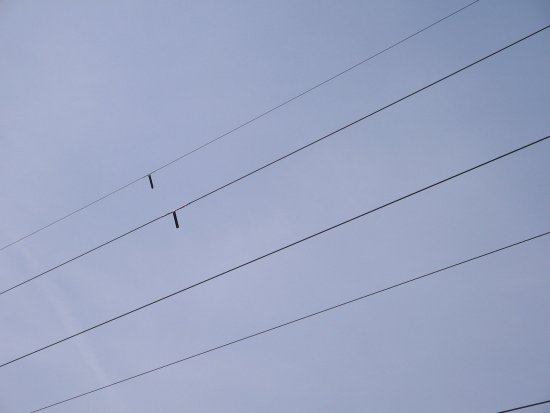 003-IMG_6483.jpg.medium.jpeg