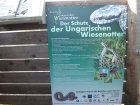 012-DSCN6785.JPG.small.jpeg
