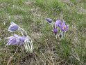DSCN9161