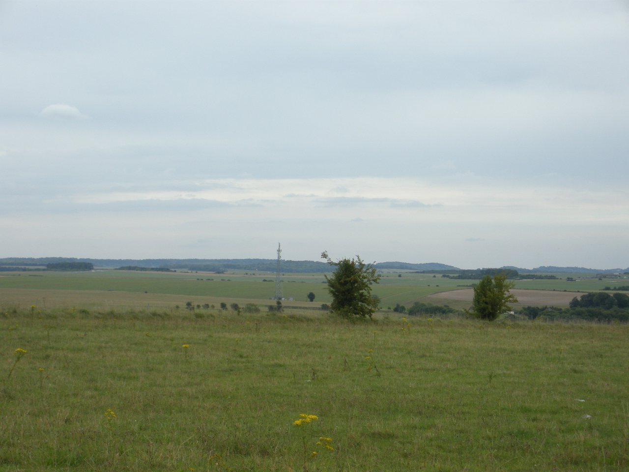 DSCN2343