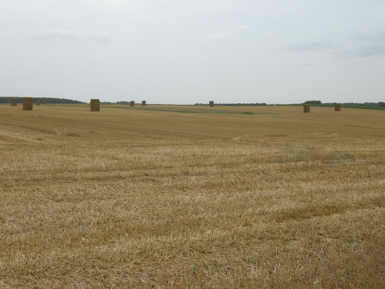 DSCN2422