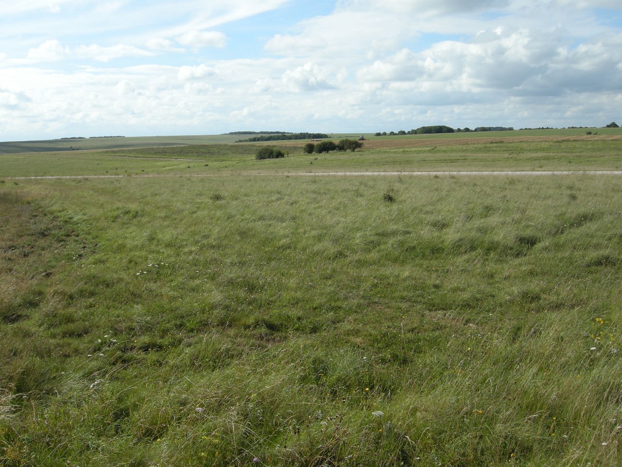 DSCN3643