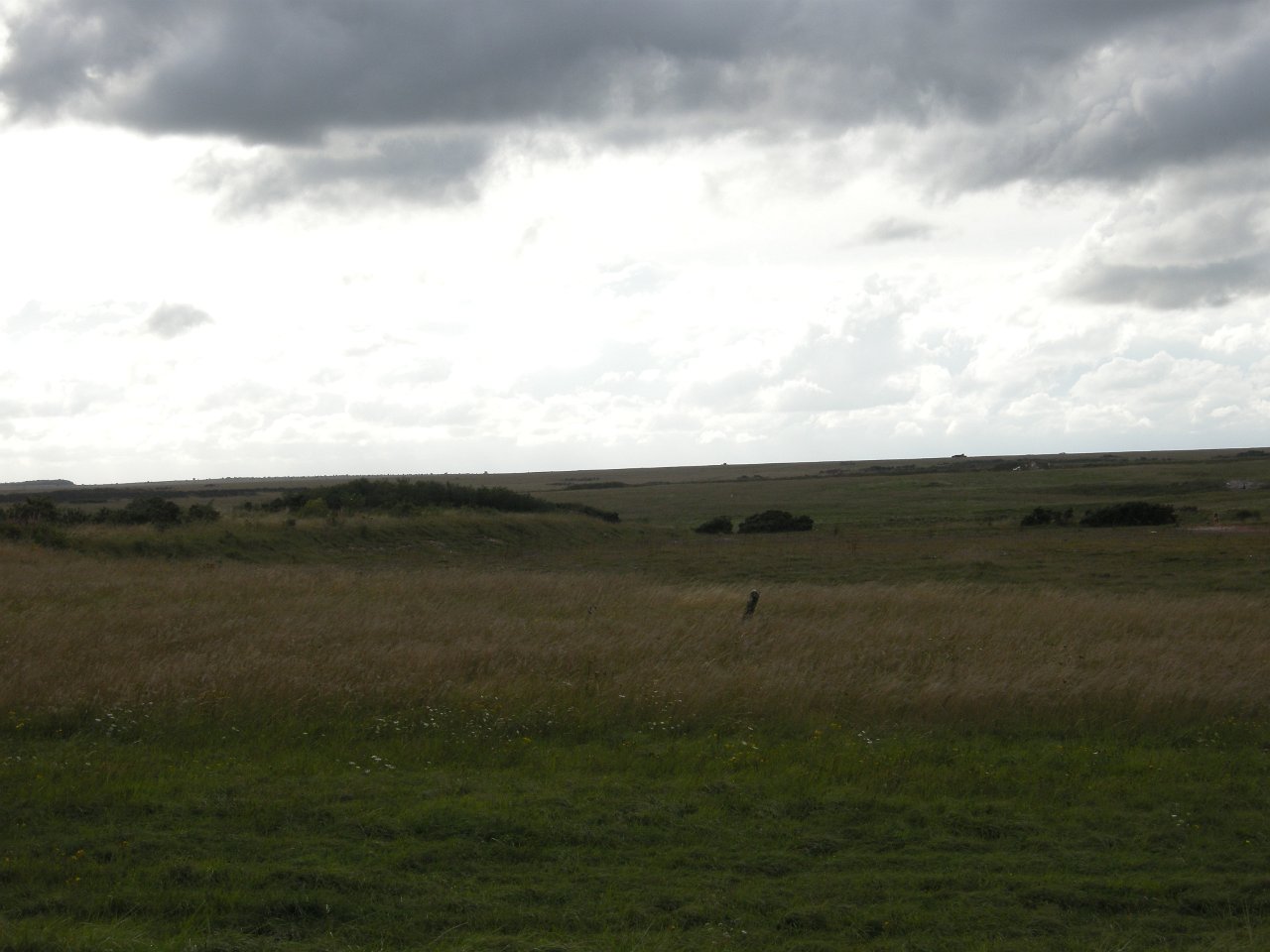DSCN3667