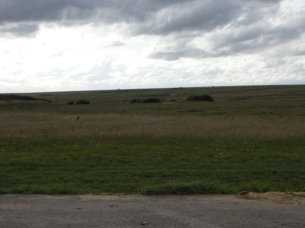 DSCN3669